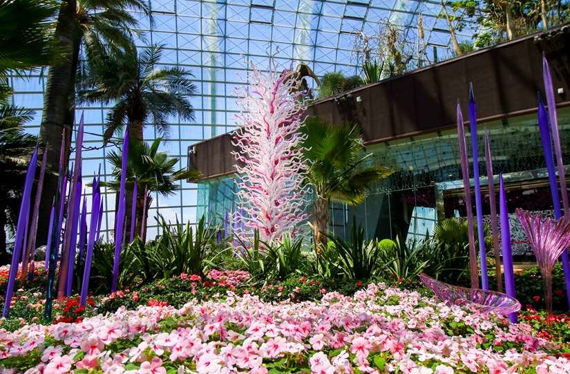 新加坡《戴爾‧奇胡利：Glass in Bloom》展覽