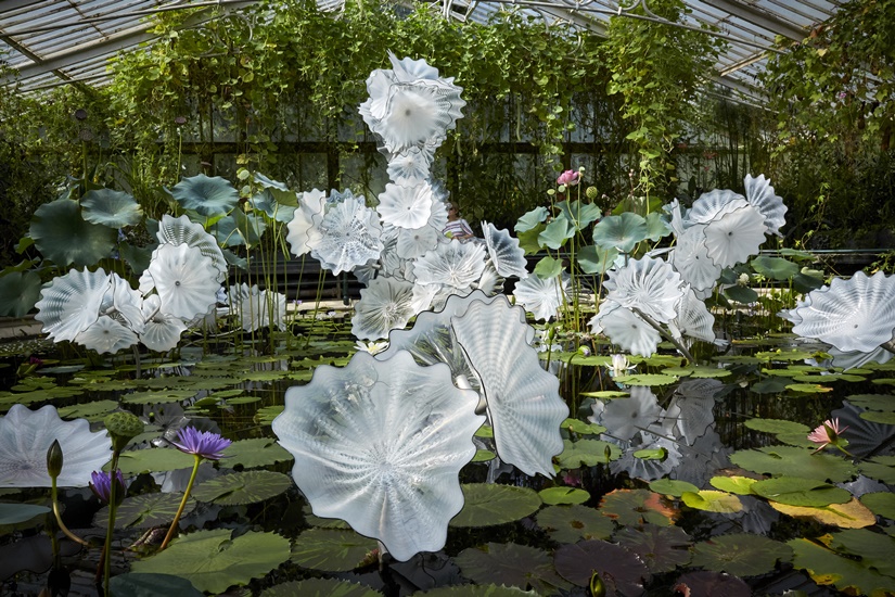 新加坡《戴爾‧奇胡利：Glass in Bloom》展覽