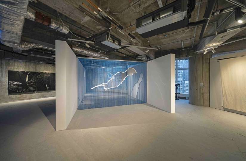 parasite_curtain