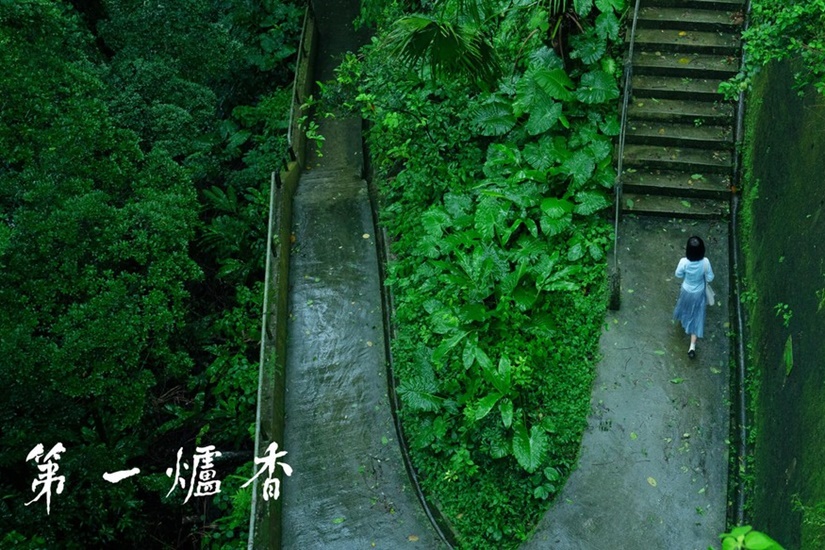 第一爐香