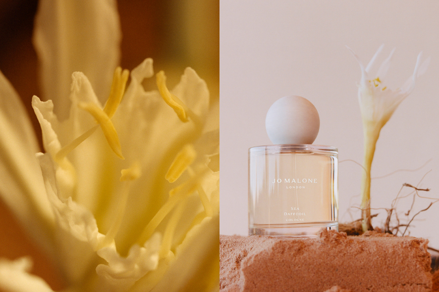 Jo Malone 2022 Blossoms 系列