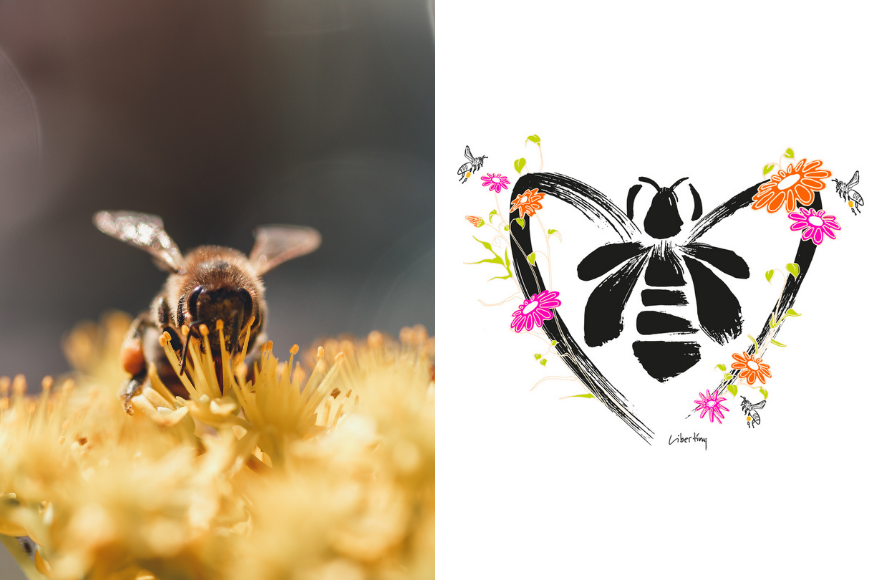嬌蘭 520 Bee Day