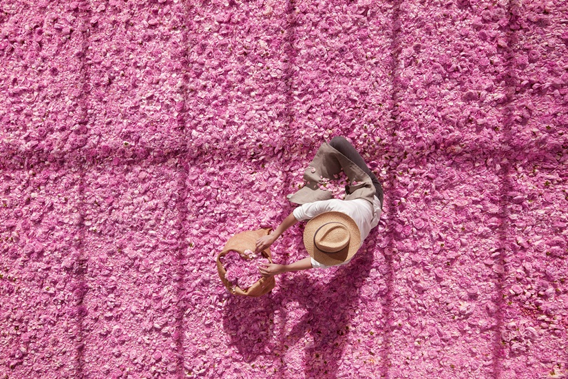 Miss Dior 