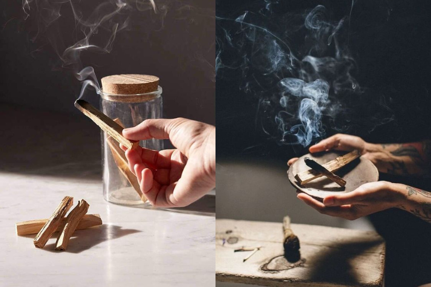 秘魯聖木