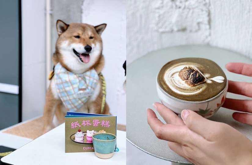 茶療