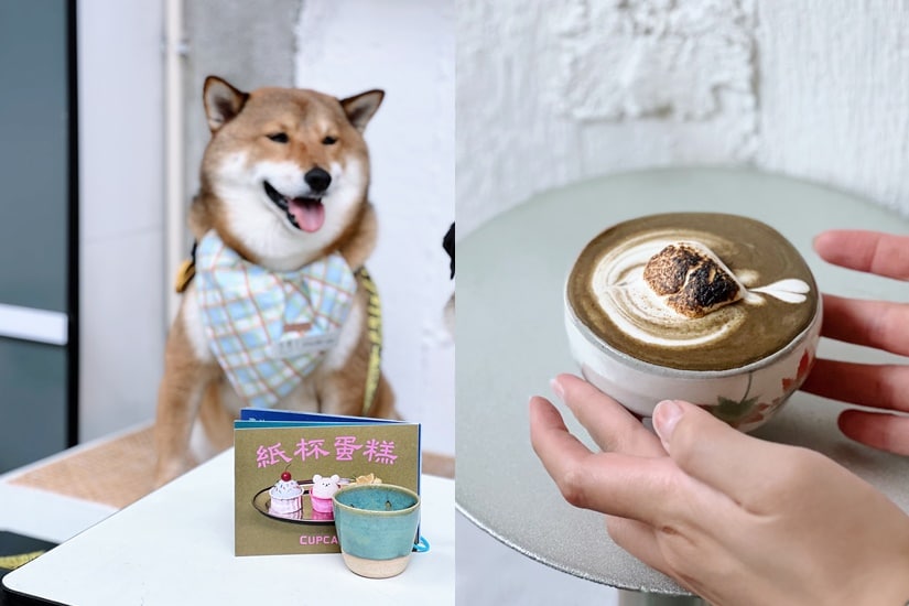 茶療
