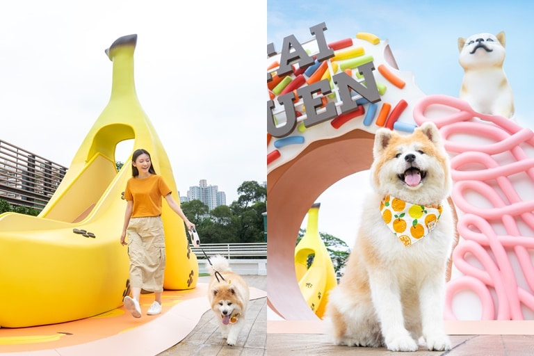 Play Eat Tai Yuen Pawty