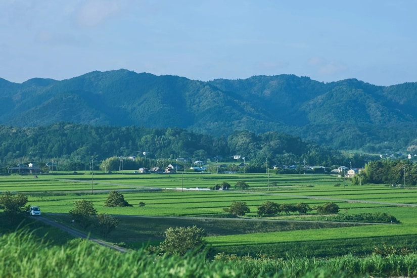 MUJI Base Kamogawa