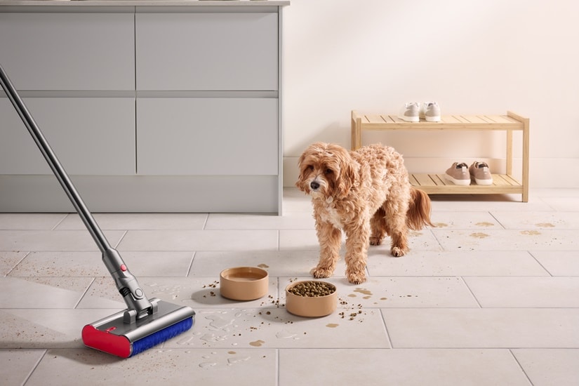 Dyson