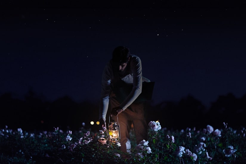 Dior Prestige 玫瑰花蜜活顏再生晚霜